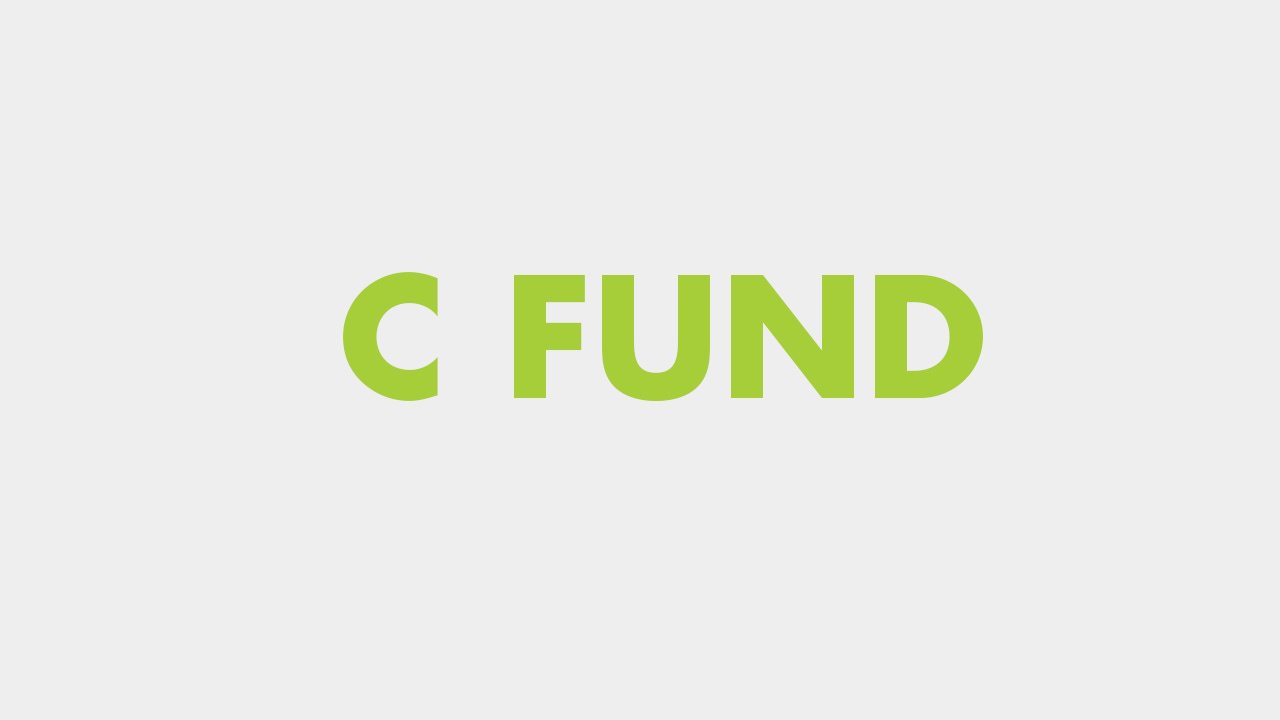Your TSP Investment Options: The C Fund