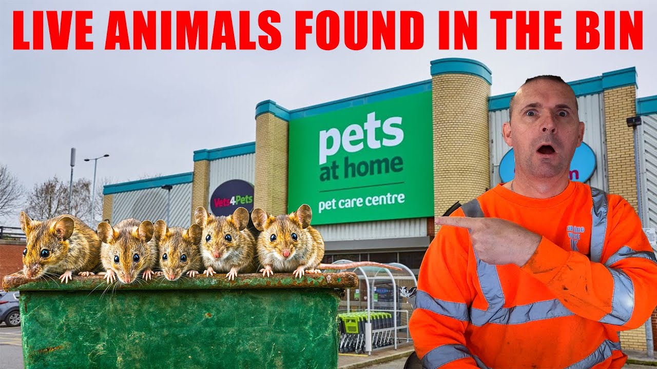 I Found LIVE Animals in the PET STORE BIN!😲