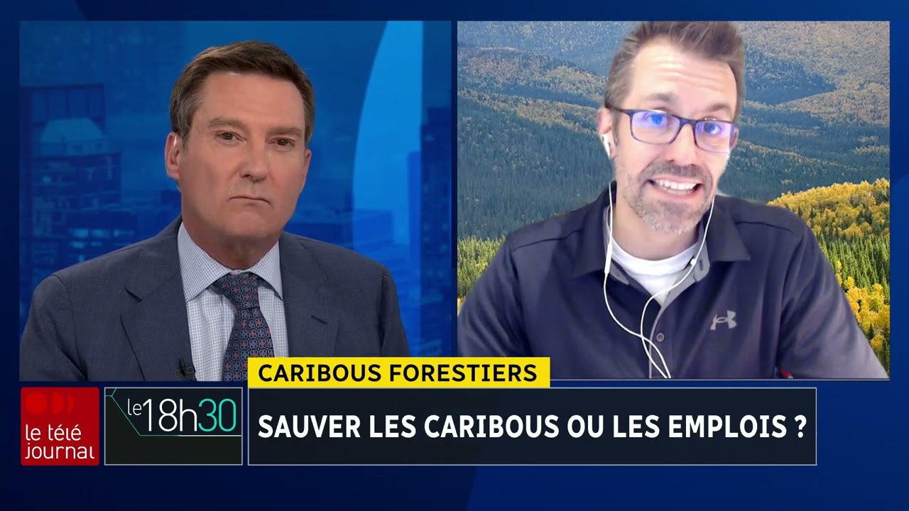 Caribous forestiers : sauver les caribous ou les emplois?