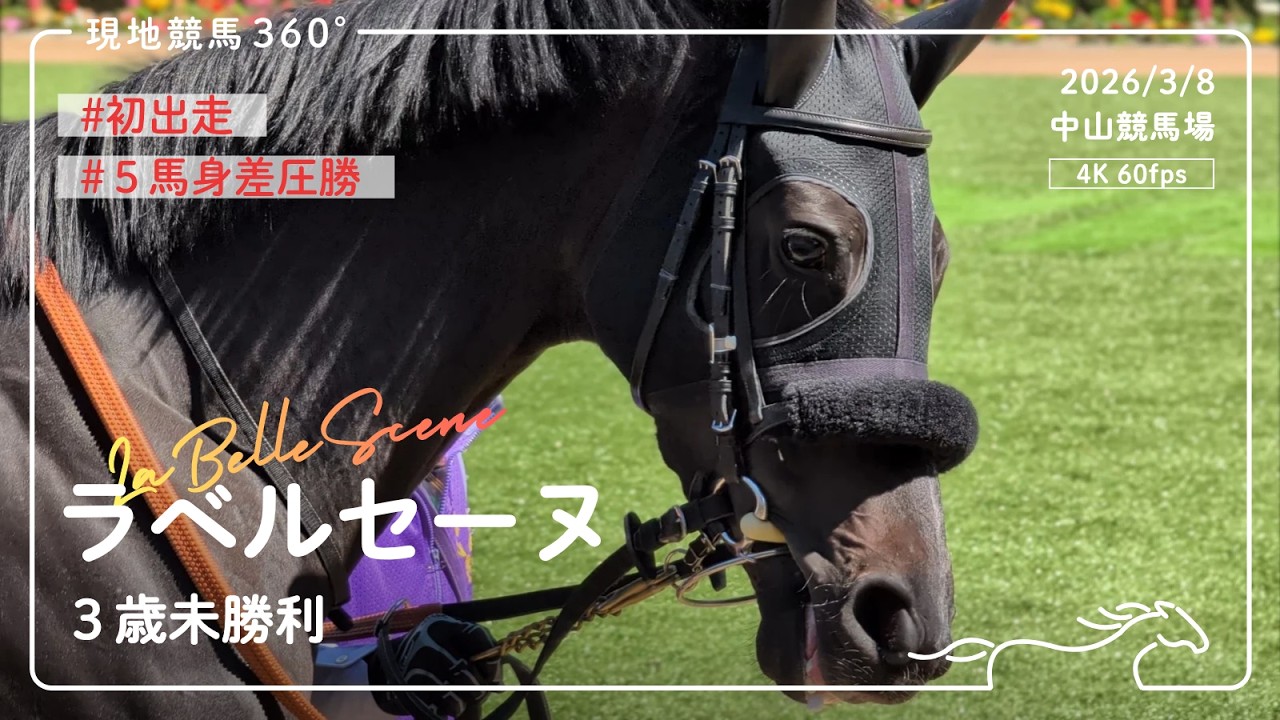 [ 初出走で圧勝 ] ラベルセーヌ｜3歳未勝利 パドック｜2026/3/8 中山競馬場｜4K/60fps