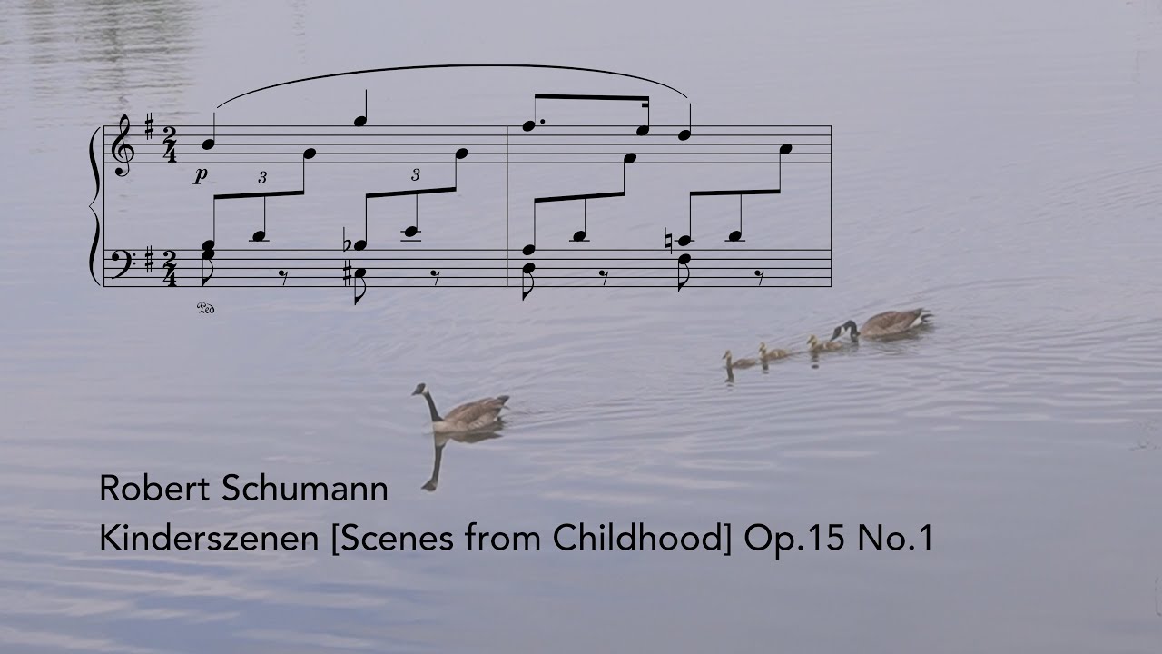 Schumann: Kinderszenen Op.15 No.1 (music score video) | Tiffany Poon