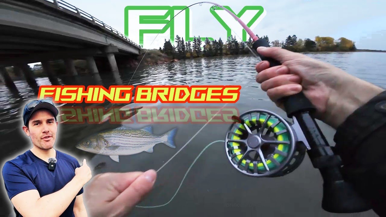 Fly Fishing BRIDGES for Striped Bass! (Prince Edward Island, Canada)