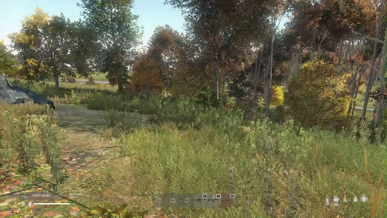 DayZ_20260215215038