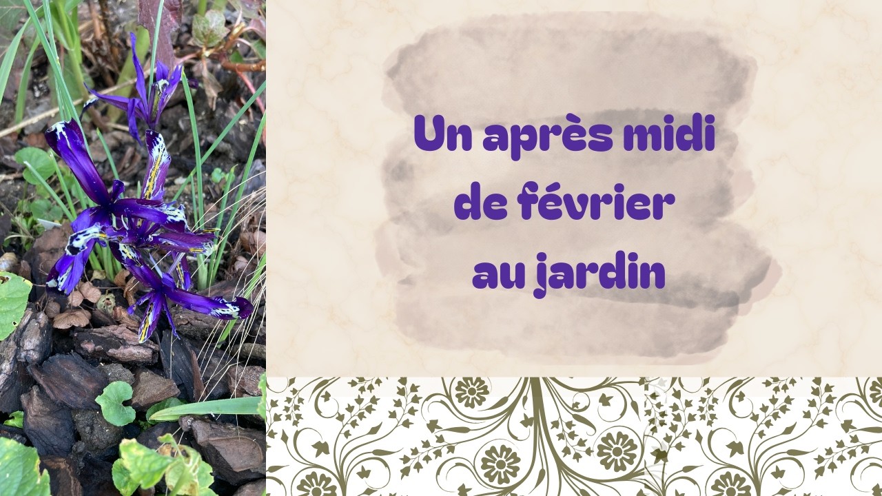 Un après midi de février au jardin