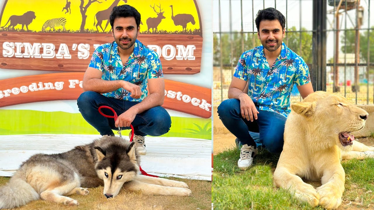 Simba's Kingdom Karachi | Safari Park in KARACHI | Wildlife Adventure Park | Vlog | PAKISTAN