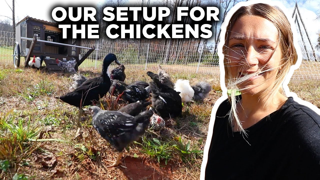 OUR FIRST STEPS TO REGENERATIVE FARMING!