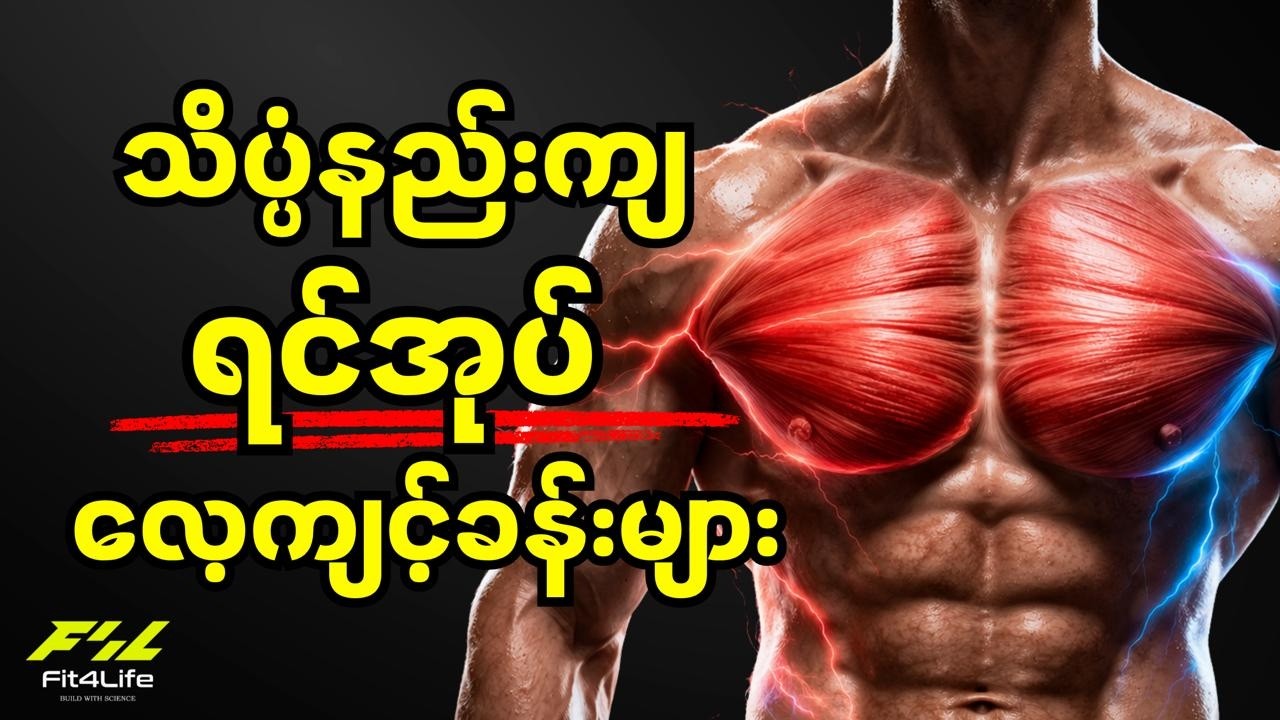 သိပ္ပံနည်းကျရင်အုပ်ကြွက်သားကစားနည်းများ