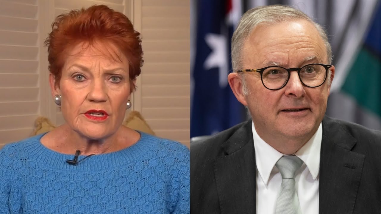 ‘Disgusted’: Hanson accuses Albanese of neglecting Australia in favour of foreign affairs