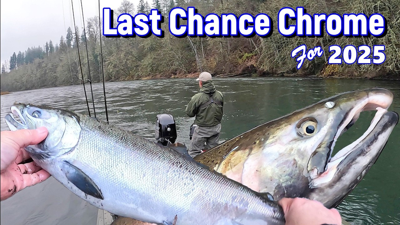 Last 2025 Coho Trip