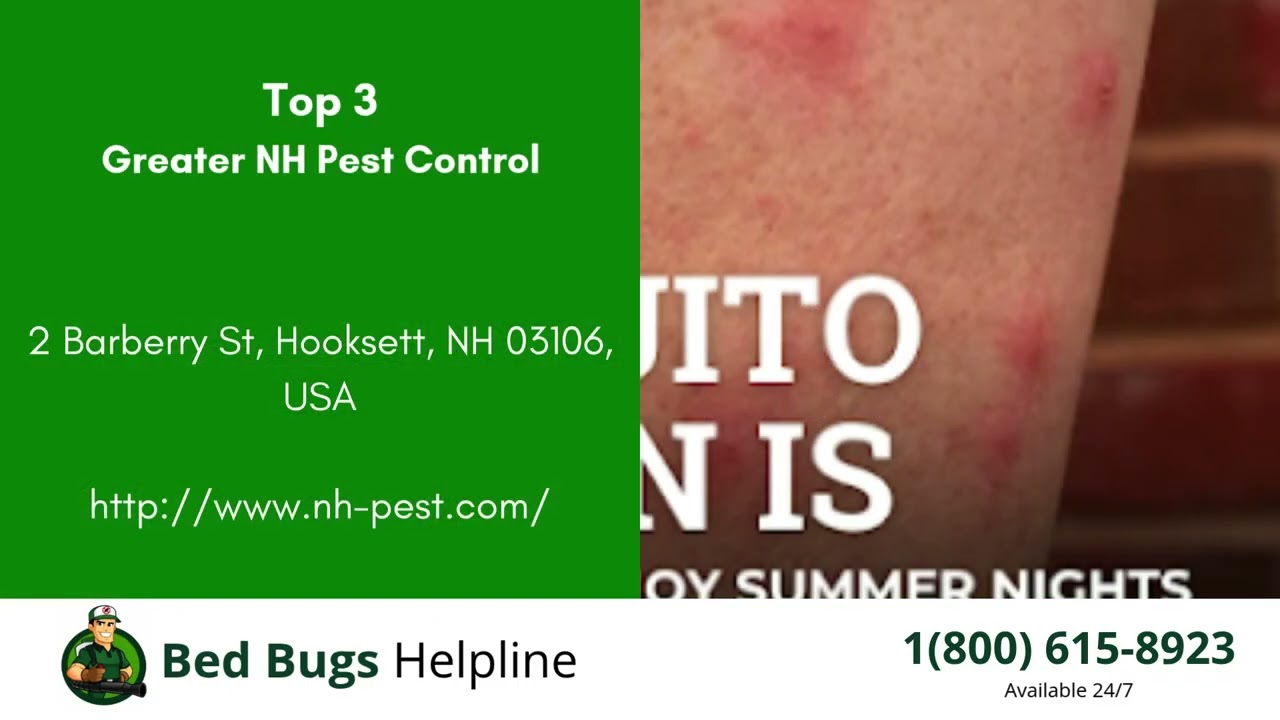 Top 3 Bed Bug Removal in Goffstown