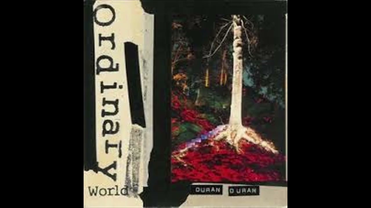 Ordinary World - Duran Duran ( Synth Cover)