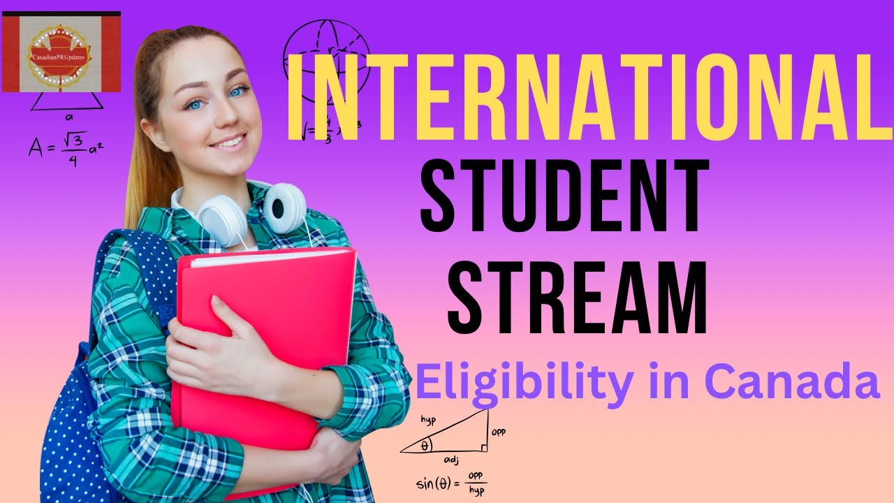 International Student Stream in Ontario | OINP under international student stream