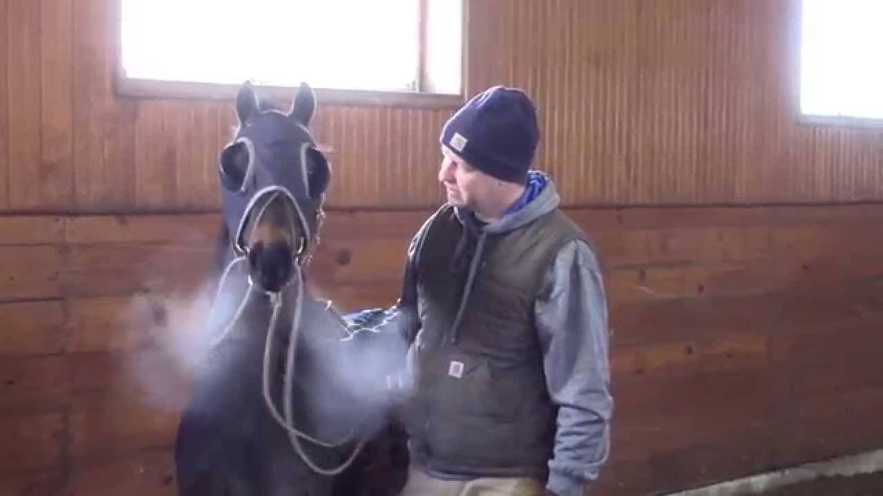 2015 AHHS Limited Breeders Sweepstakes Barn Tour Part 2