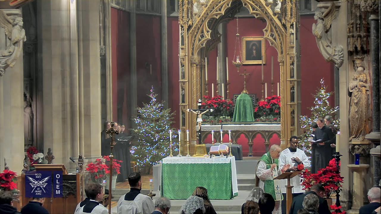 25th January - 3rd Sunday in Ordinary Time