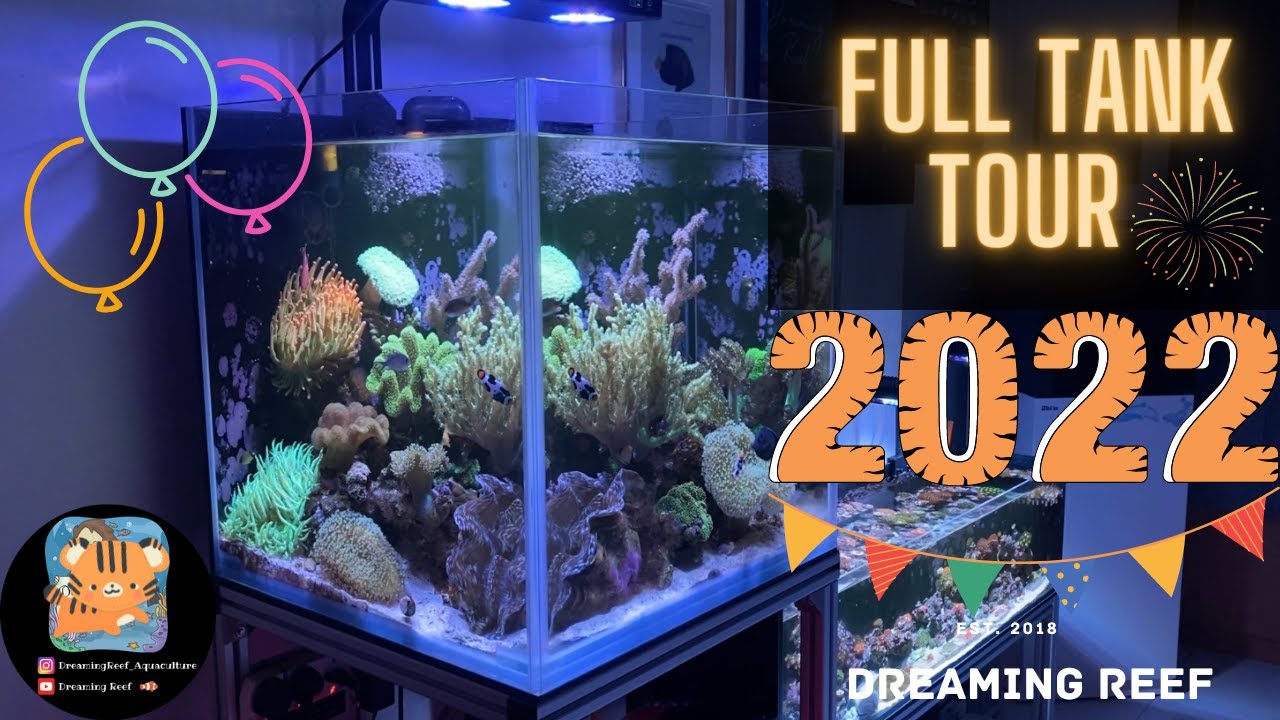 2022 FULL TANK TOUR !!!