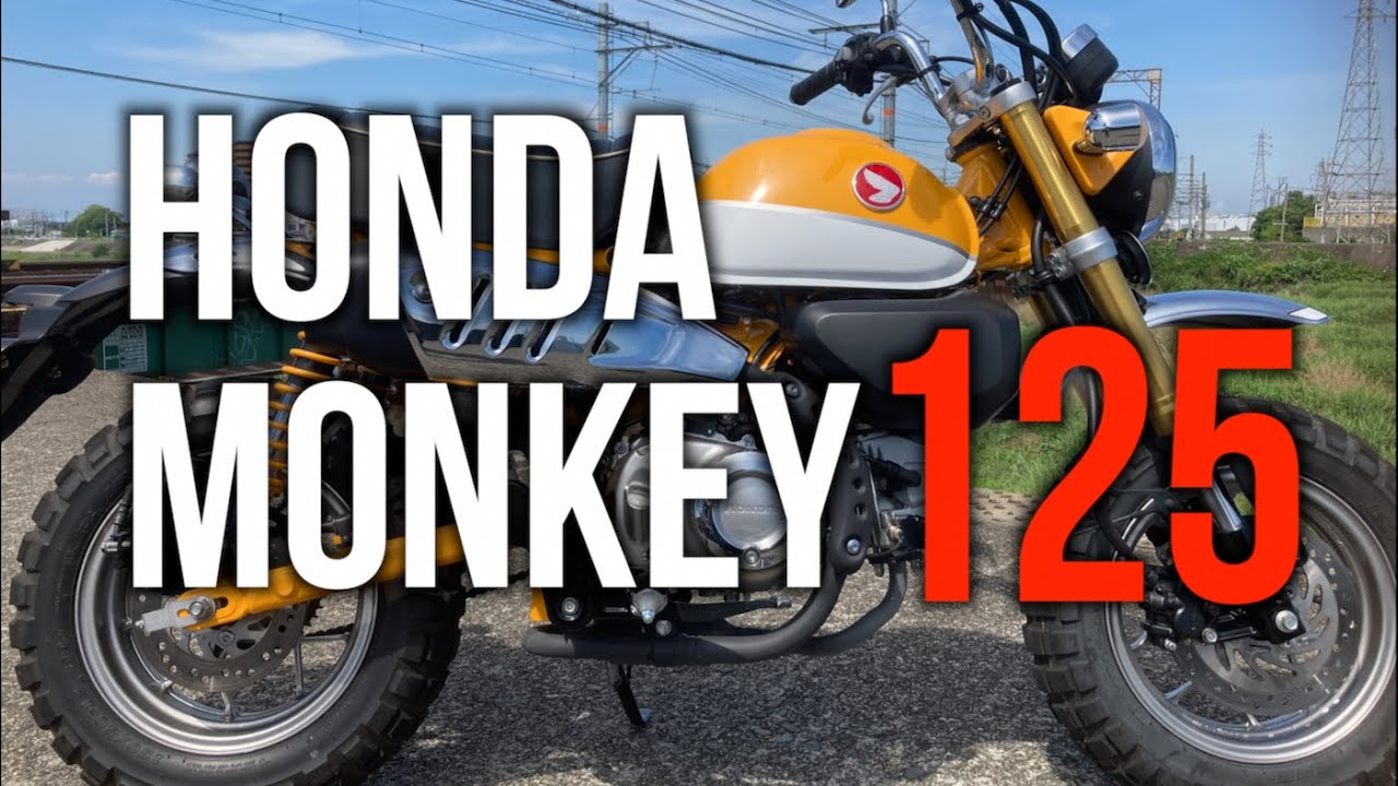 【試乗モンキー125】オバスペ！250cc要らないかも?これが現代の原付2種【Honda Monkey125】