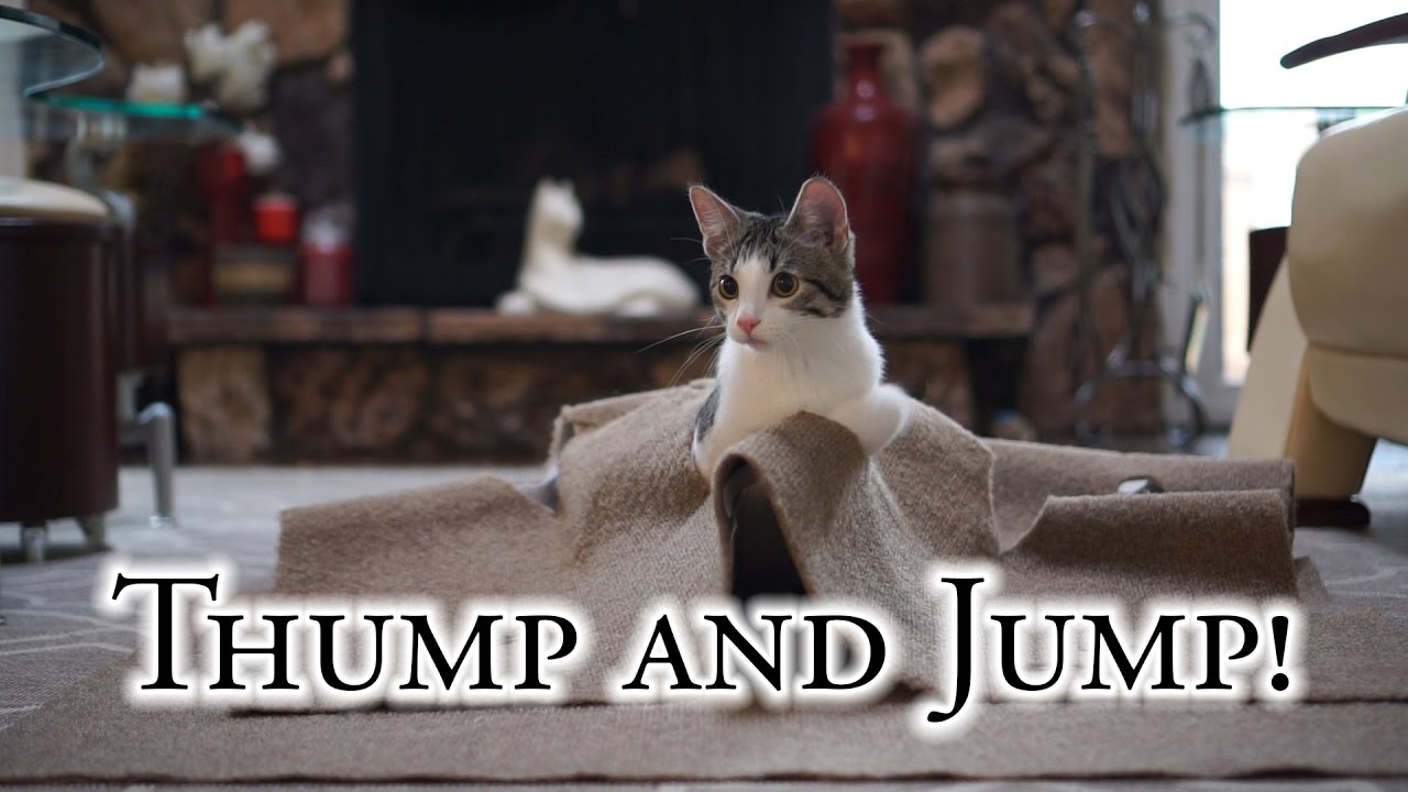 Thump and Jump!