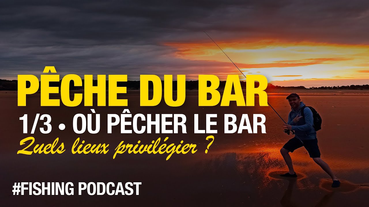 P&ecirc;che du bar facile en bord de mer - 1/3 - O&ugrave; le p&ecirc;cher ?