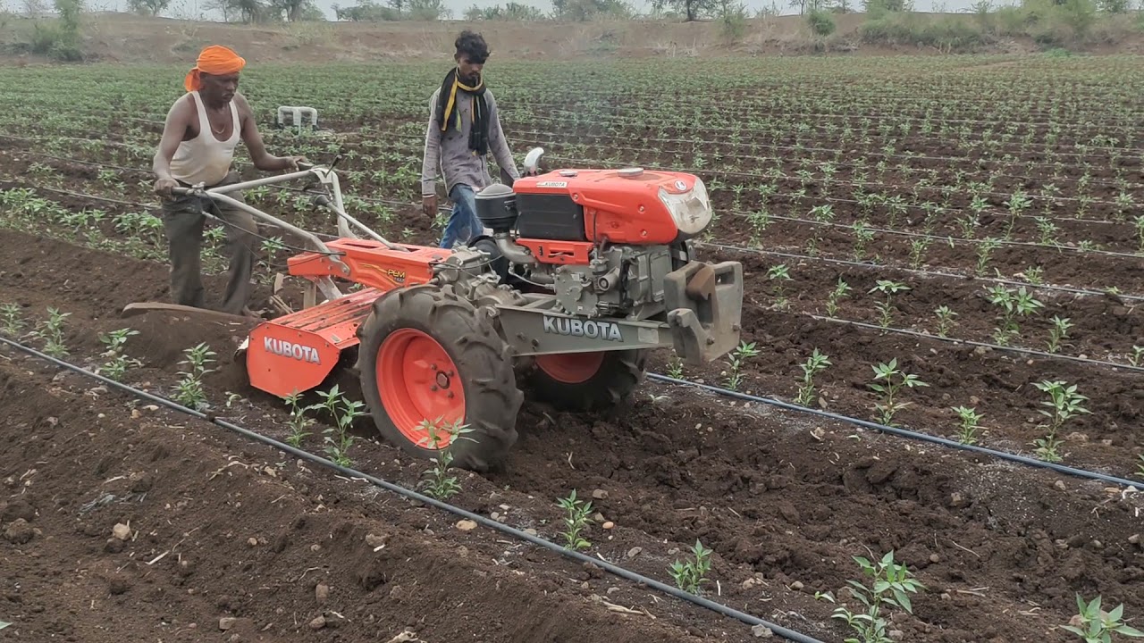 Kubota Power tiller use in chilli by Farmar || Hosla Kisan ka