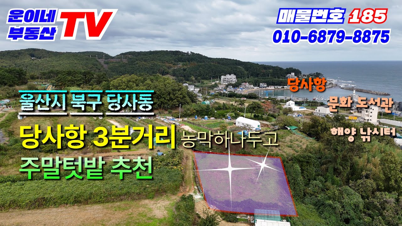 185 울산시 북구 당사동 ((개인사정 매입가격도 못받고 팔아요! 울산근교 주말텃밭 찾는분~~~ 지금이 기회 입니다.))