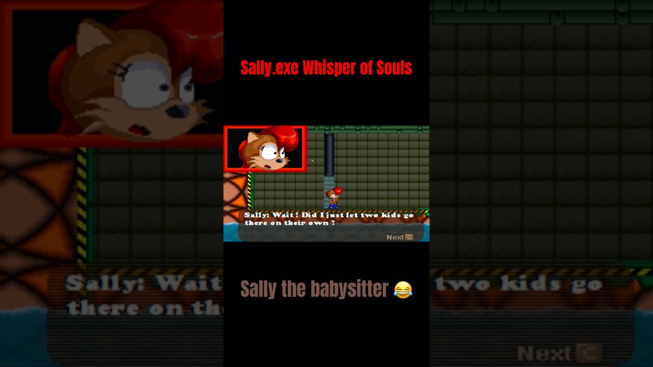 “Wait! Did I just let these two kids go there on their own?” Sally.exe WOS funny scene 