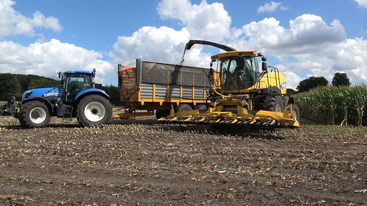 Mais hakselen door loonbedrijf ten Cate met een 8 rij New Holland FR500 en 2 trekkers (2025)