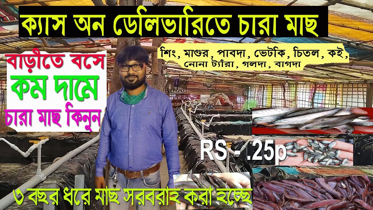 Fish Seeds | Singi, Magur, Nona Tangra, Pabda, Vetki, Chital, Koi, Gulsa Tangra, Galda 2025