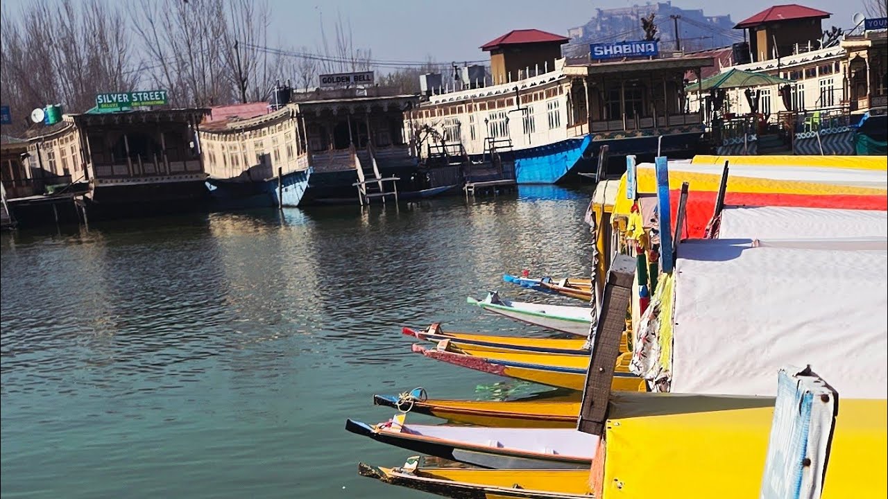 Morning View of Dal Lake Srinagar | Peaceful Kashmir Inside Dal Lake Kashmir | Real Paradise
