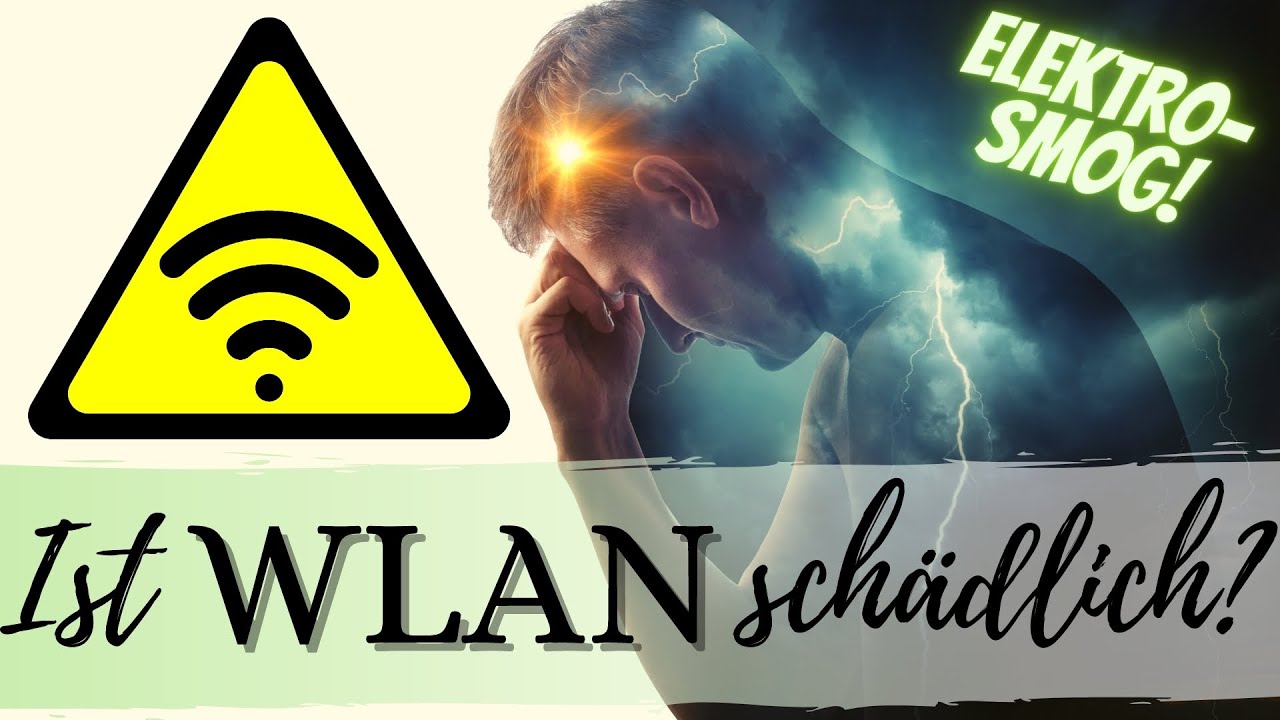 Schadet WLAN unserer Gesundheit? Studienlage und Tipps zum Umgang mit WLAN / WiFi