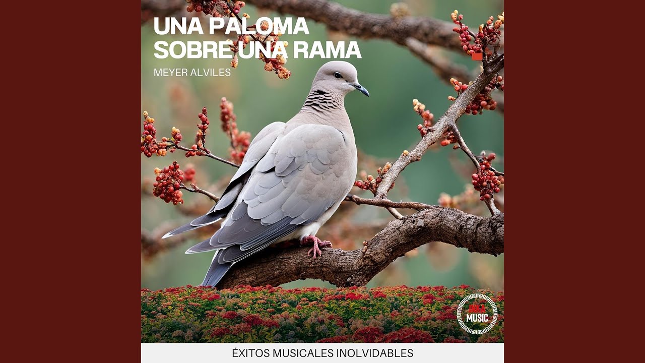 Una Paloma Sobre Una Rama