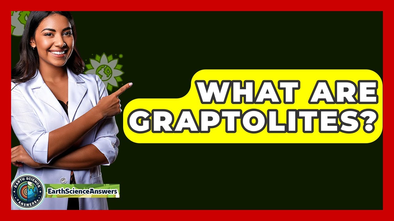 What Are Graptolites? - Earth Science Answers
