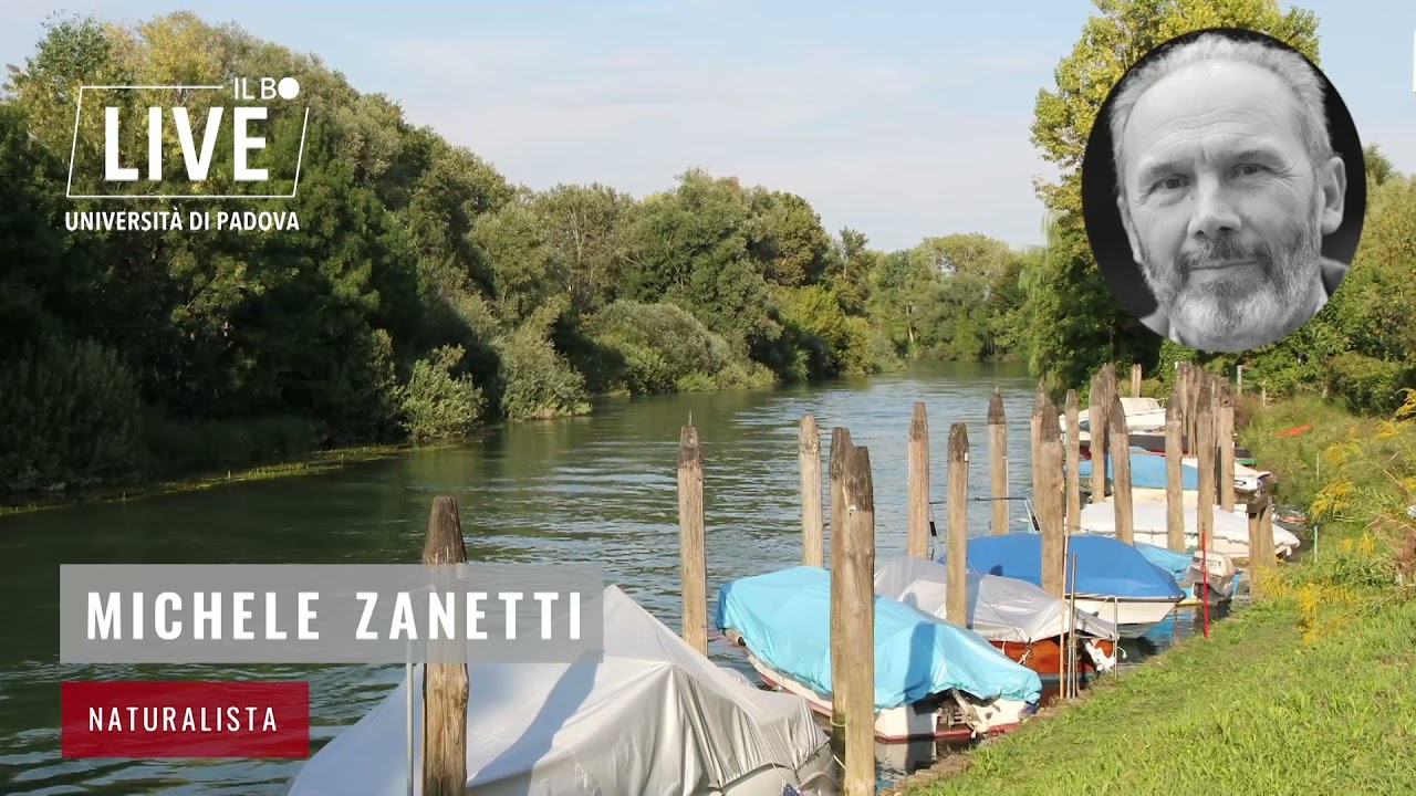 Storie d'acqua, fiumi del Veneto: il percorso del Sile e il rapporto con le comunità