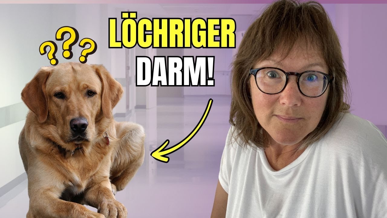Leaky gut - Was dein Tierarzt dir über den Darm verschweigt.