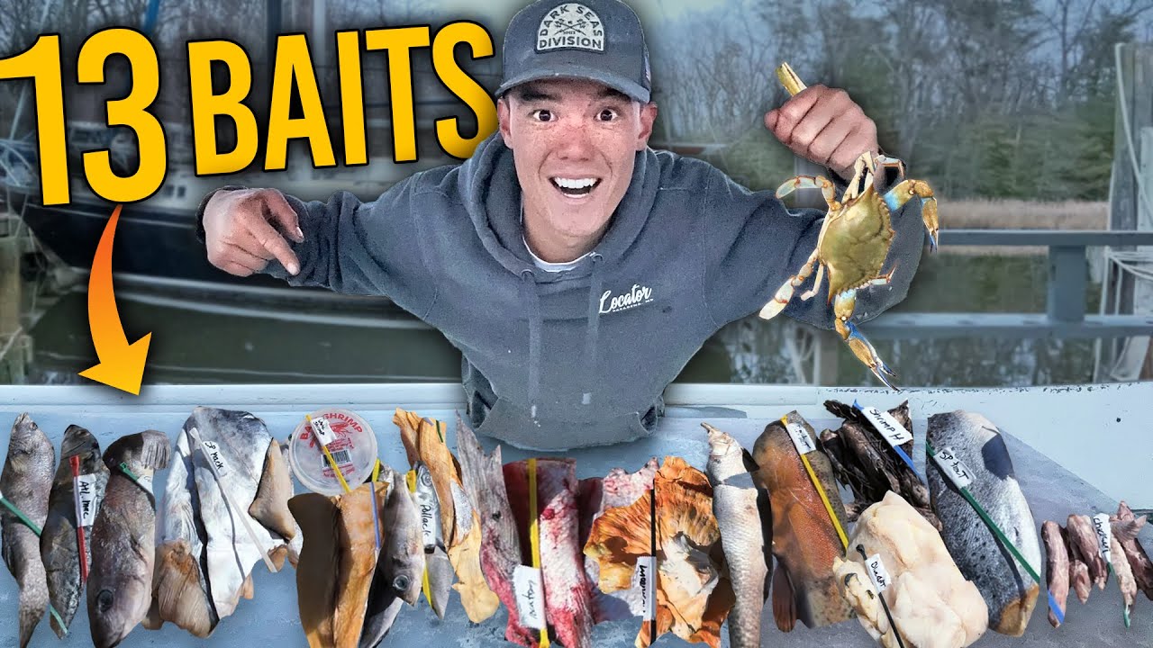 CAN IT CATCH Blue Crabs