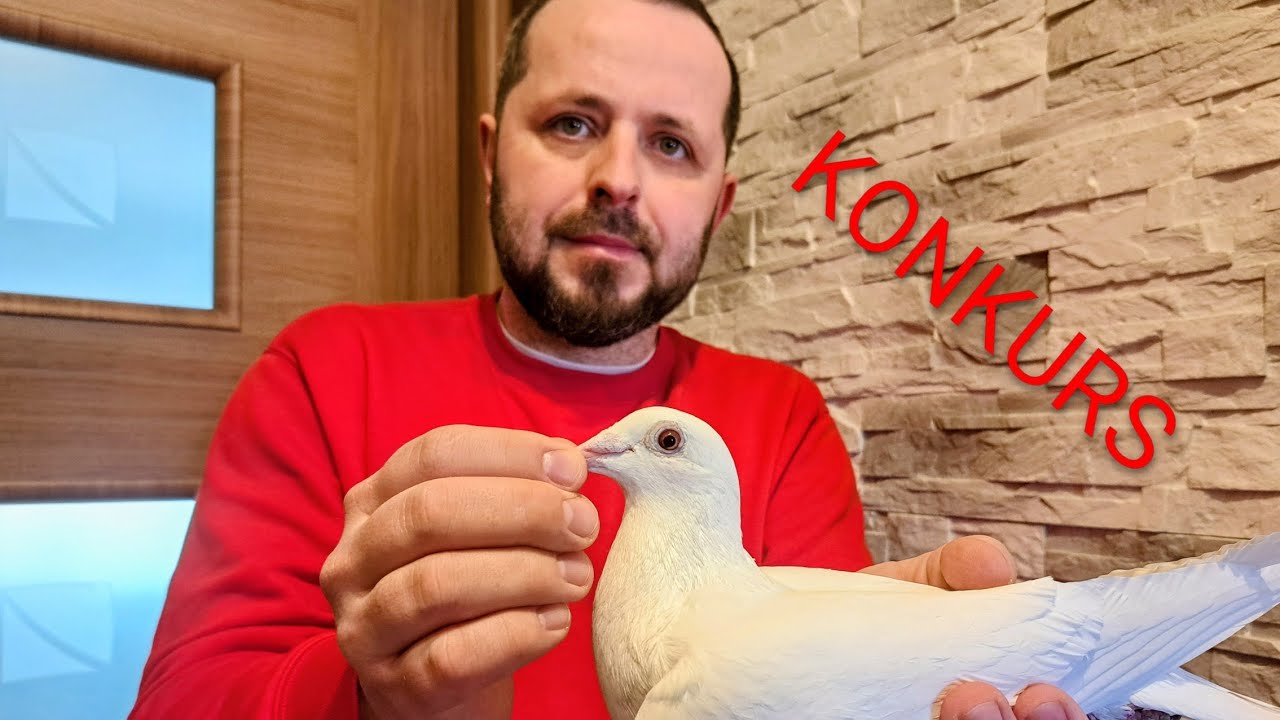 Coś mamy dla Was do wygrania !!! Wiosenny KONKURS dla Subskrybentów