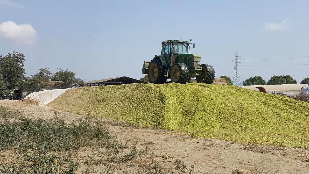 [PESTATURA MAIS 2017] |JOHNDEERE| ZACCARIA|