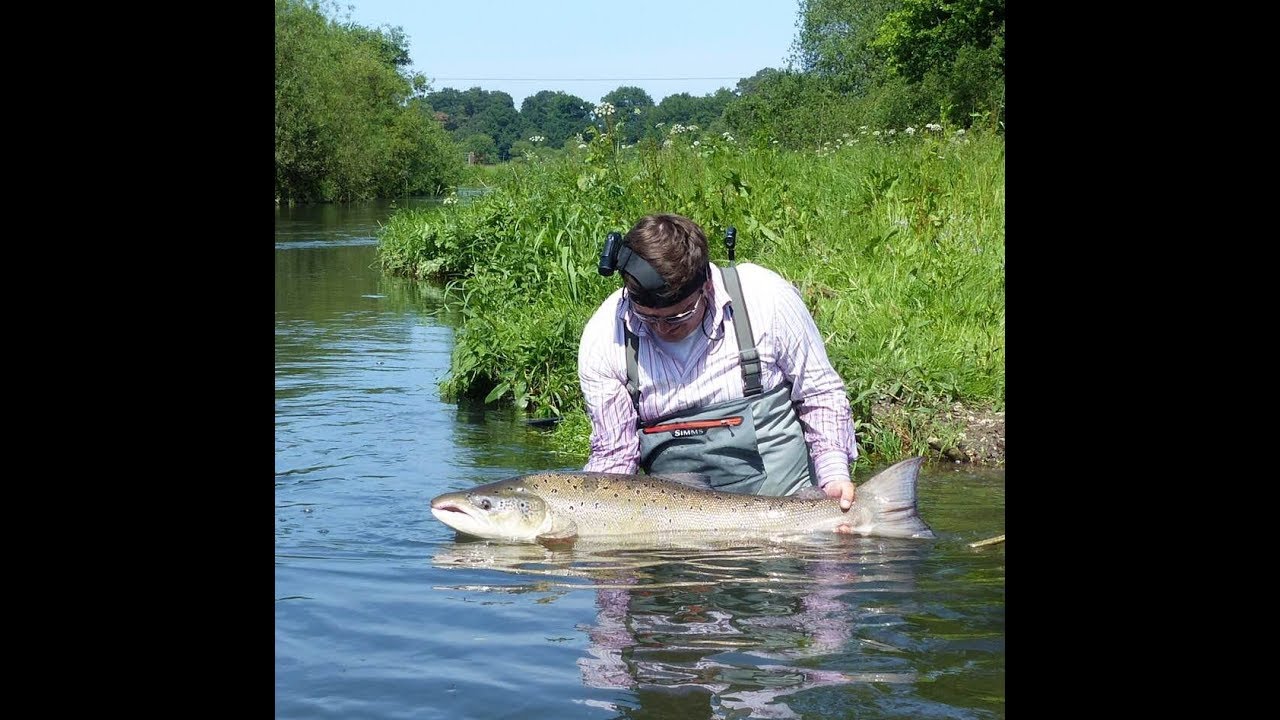 35lb Atlantic Salmon off the Hampshire Avon on my 53rd birthday!