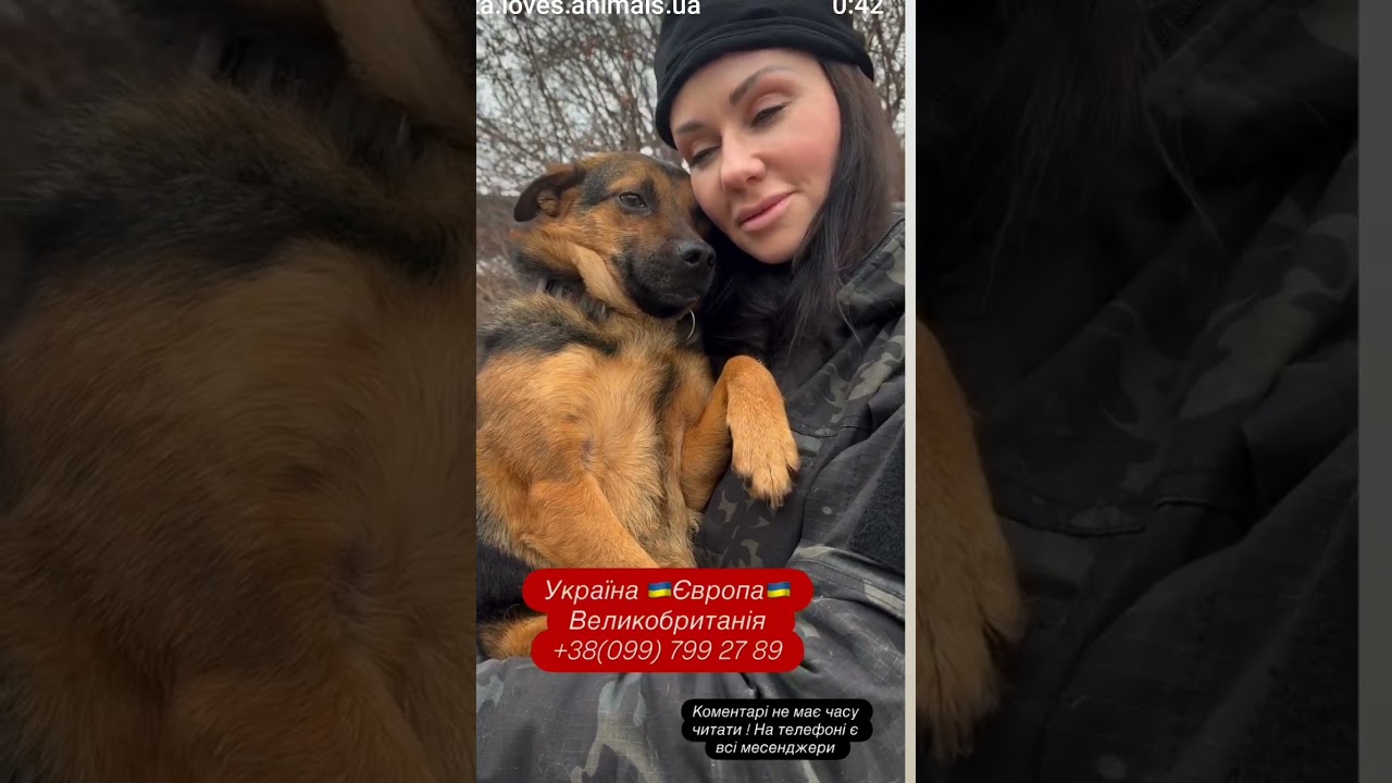 Невероятная история, теперь ищем Дом этому чуду❤😍🫶