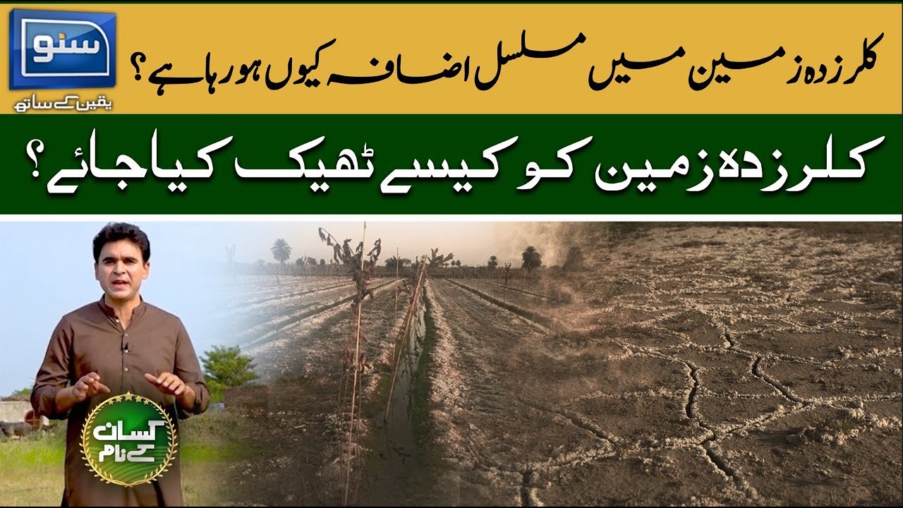 Soil salinity and its controlling methods For Farming, How to Manage Soil Salinity??