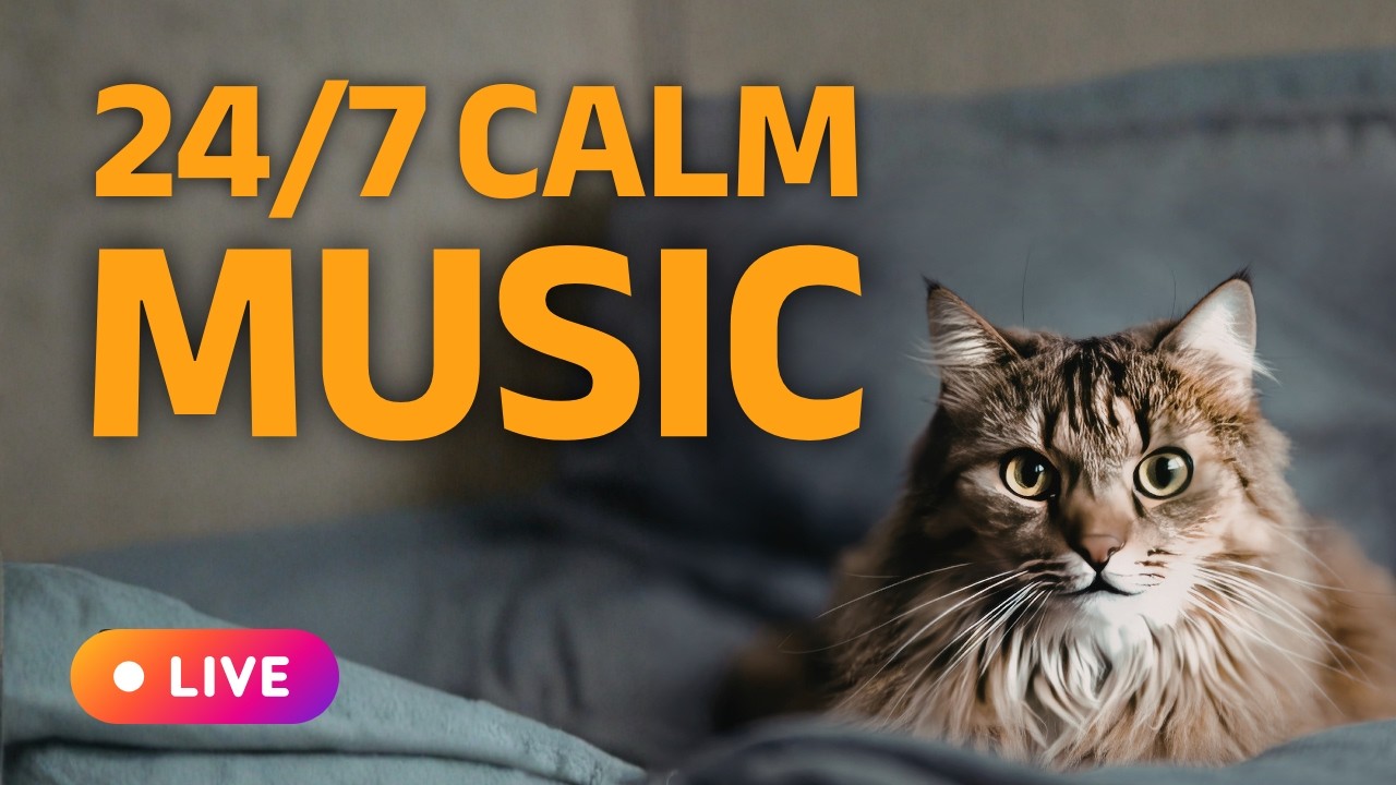 Cat Calming Music LIVE 24/7 | Relaxing Music for Cats to Sleep & Relax