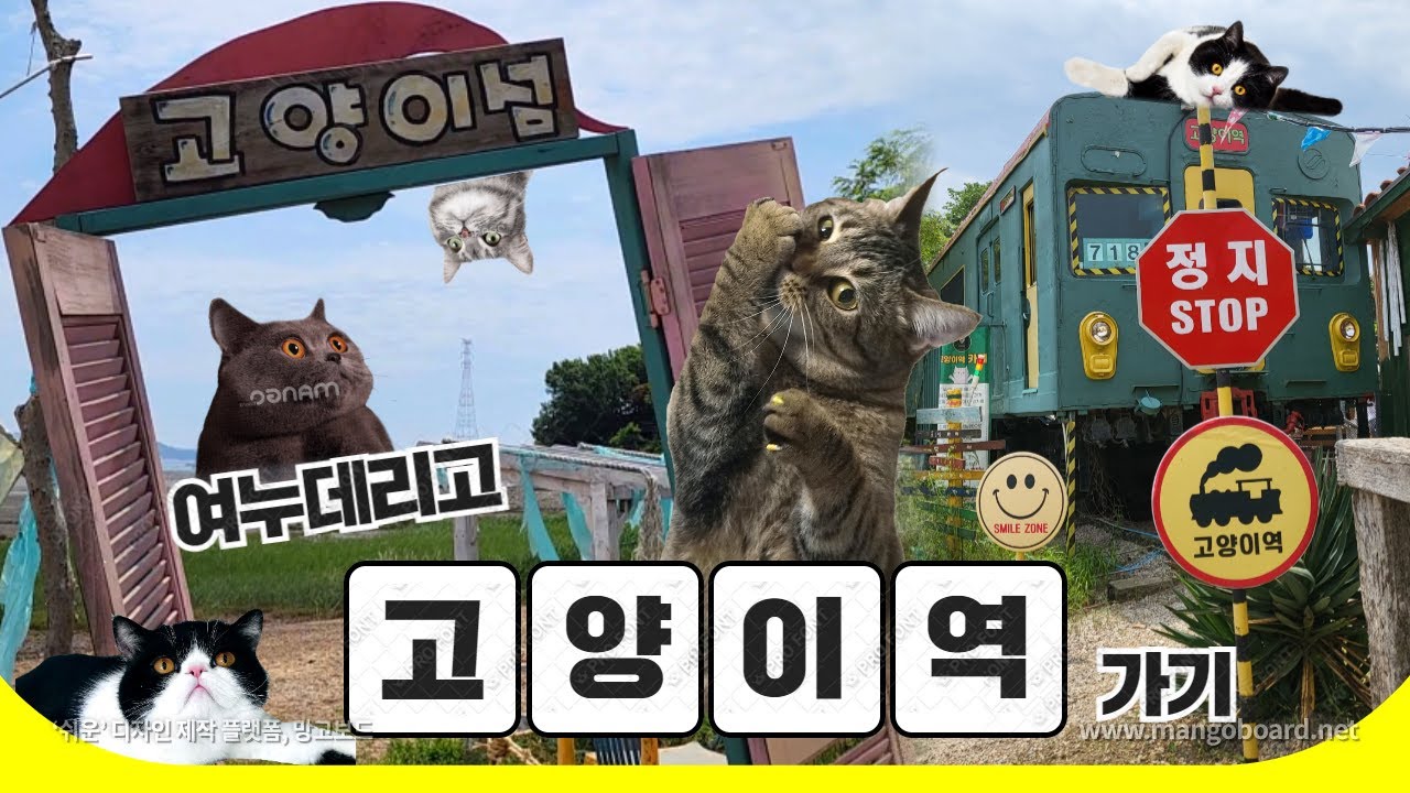 우리나라에 고양이섬이 있다고??ㅣ영흥도 고양이역 카페ㅣ당일치기 여행ㅣ카페추천