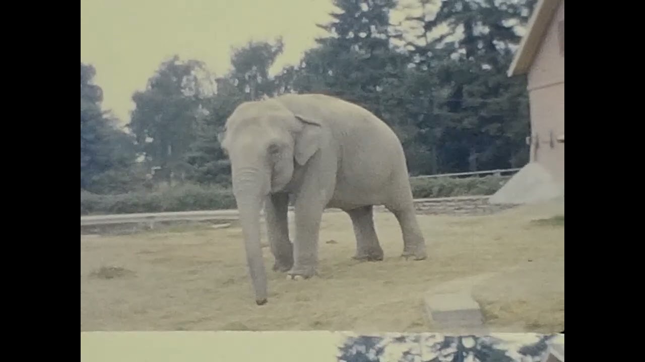 Jeanne and family at the zoo