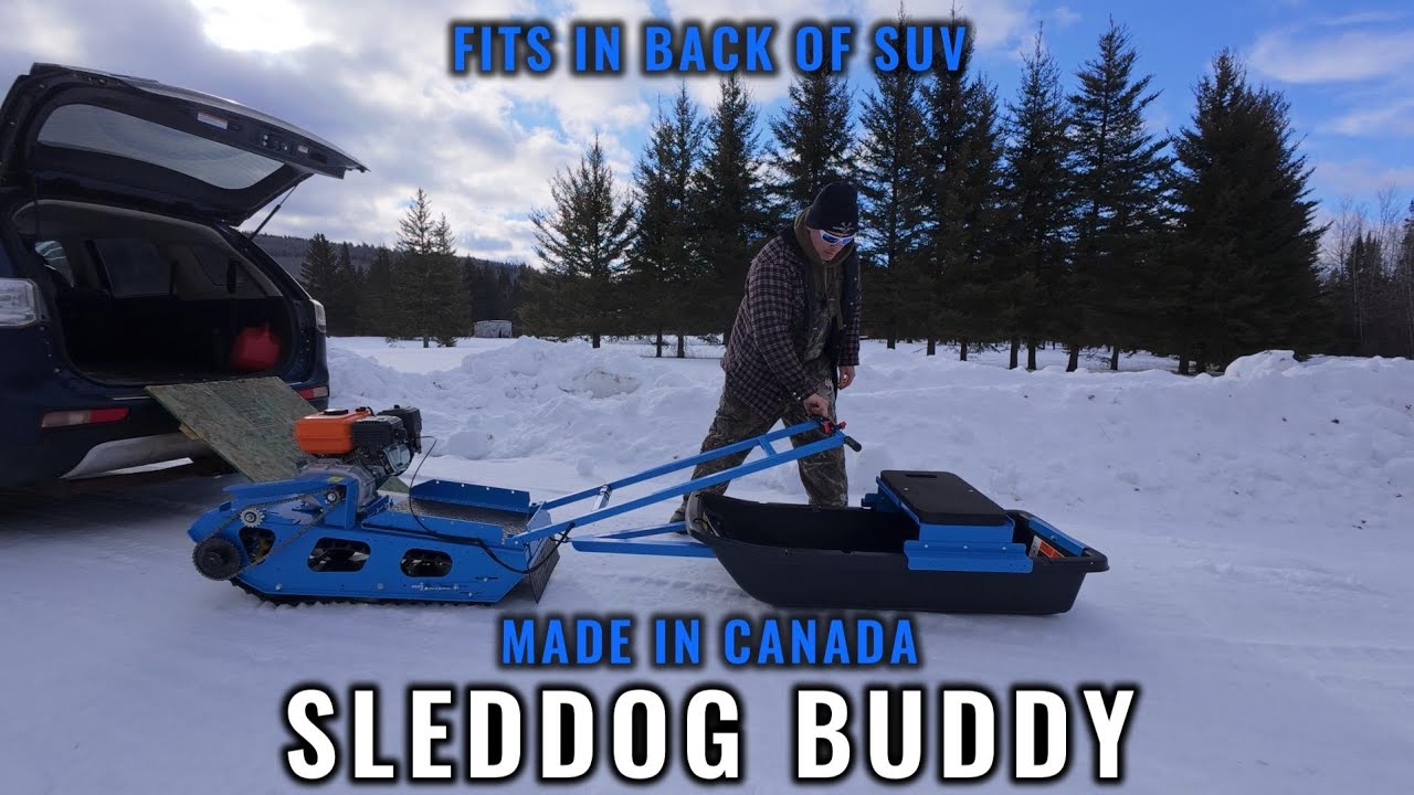 Sled Dog Buddy Review