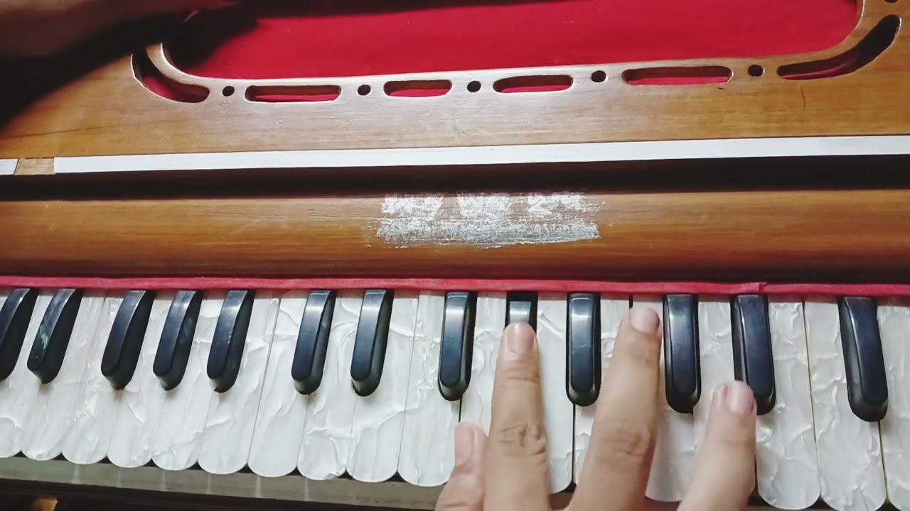 একি আনন্দ পরমানন্দ 🙏#harmoniumcover #howtoplayharmonium #harmonium #foryou #video #viral #shorts 