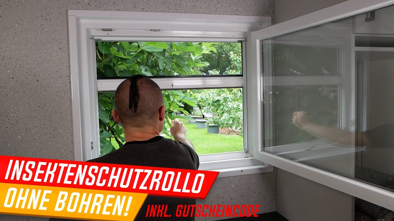Insetto StarlineFix Insektenschutzrollo, Montage ohne bohren, mit GUTSCHEINCODE 2025! Fliegenschutz