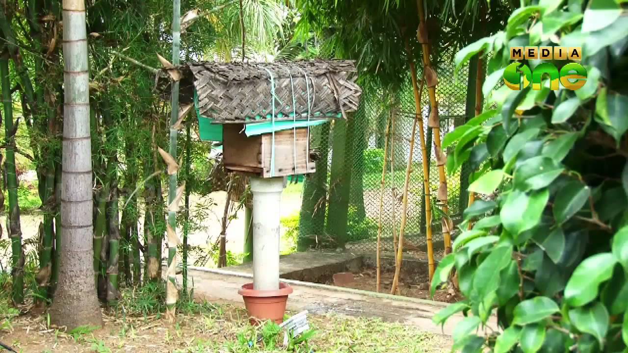 Njatuvela, Agricultural awareness - Organic Farming and Farm Tourism | ജൈവകൃഷി (Episode 180)