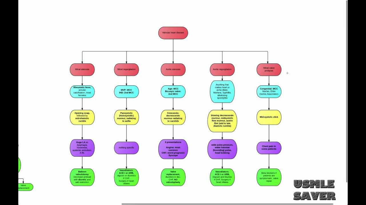 Valvular heart disease flowchart USMLE Step 2 CK