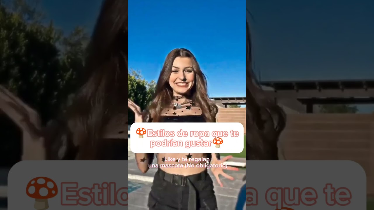 Estilos de ropa 