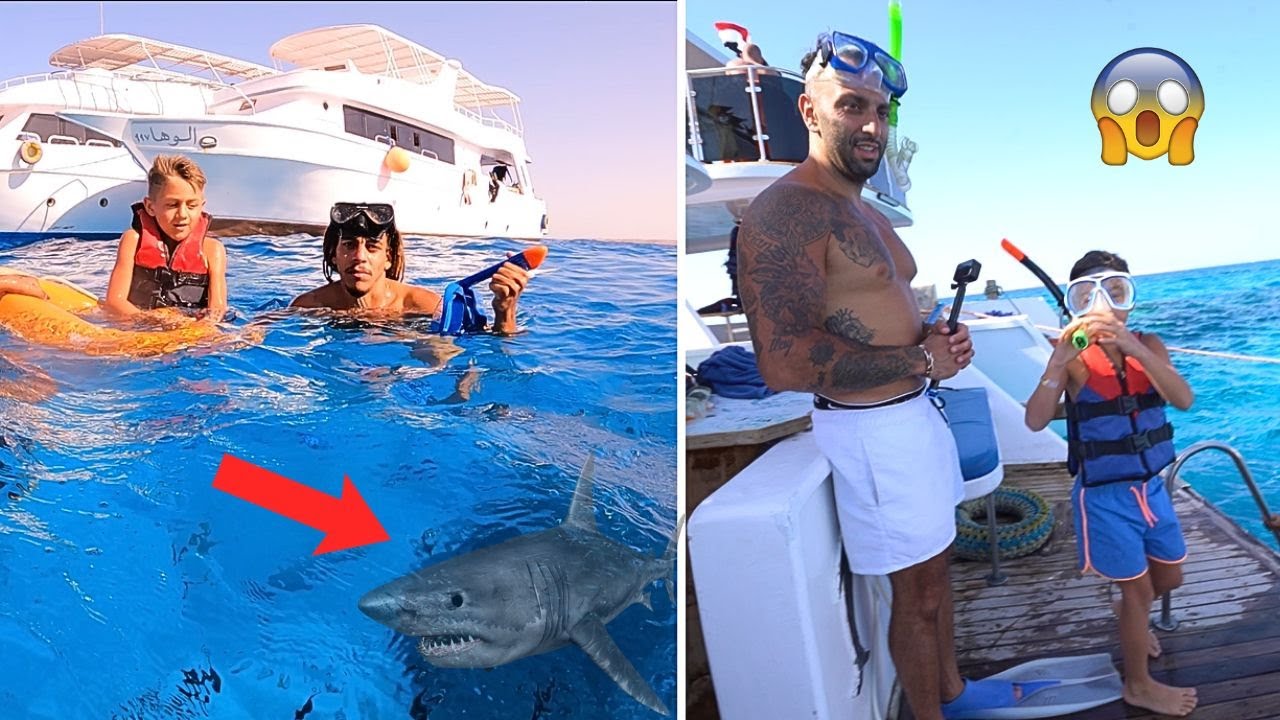 DEZE PLEK IS LEVENSGEVAARLIJK, SNORKELEN TUSSEN DE HAAIEN! 🦈| #790