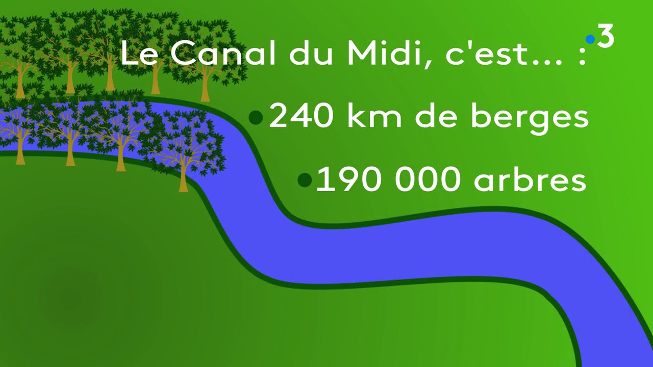 Le monde d'apr&egrave;s : des entreprises soutiennent la replantation des arbres sur le Canal du Midi